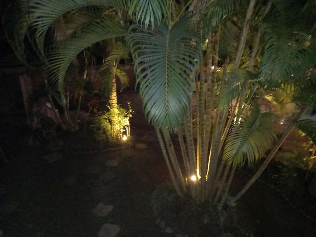 Oasis Palms Hotel Nadi Kültér fotó